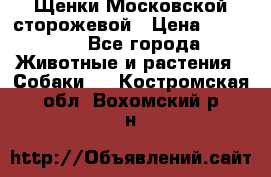 Щенки Московской сторожевой › Цена ­ 35 000 - Все города Животные и растения » Собаки   . Костромская обл.,Вохомский р-н